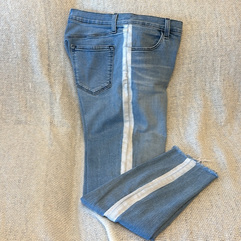 J Brand Blue and White Skinny Jeans